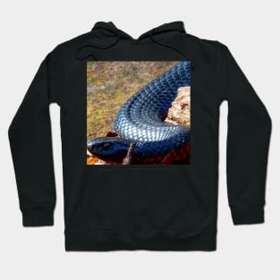 The Snake Hoodie